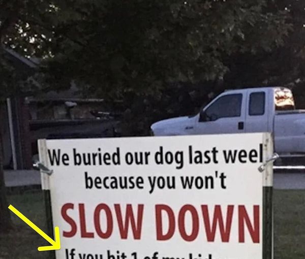 After dog gets hit by car, brutal sign has whole neighborhood talking