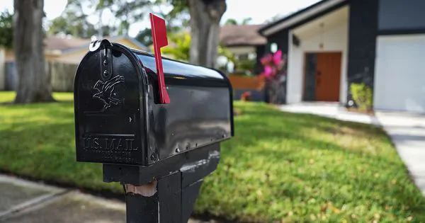 How to Keep Wasps Away from Your Mailbox