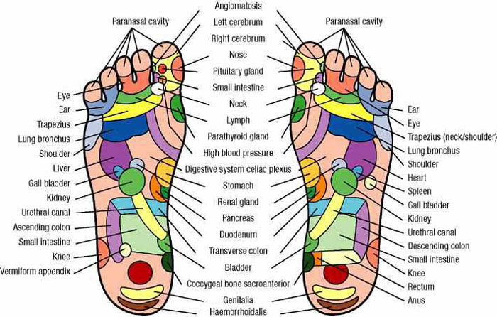 Press These Points for Wherever You Have Pain – Every Body Part is Linked to Your Palm and Foot