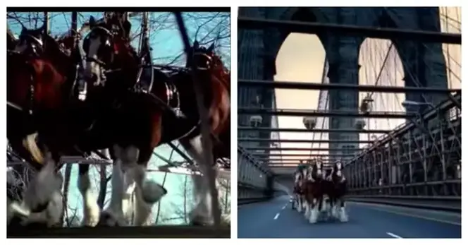 This touching 9/11 Budweiser commercial paying tribute to our nation only aired once