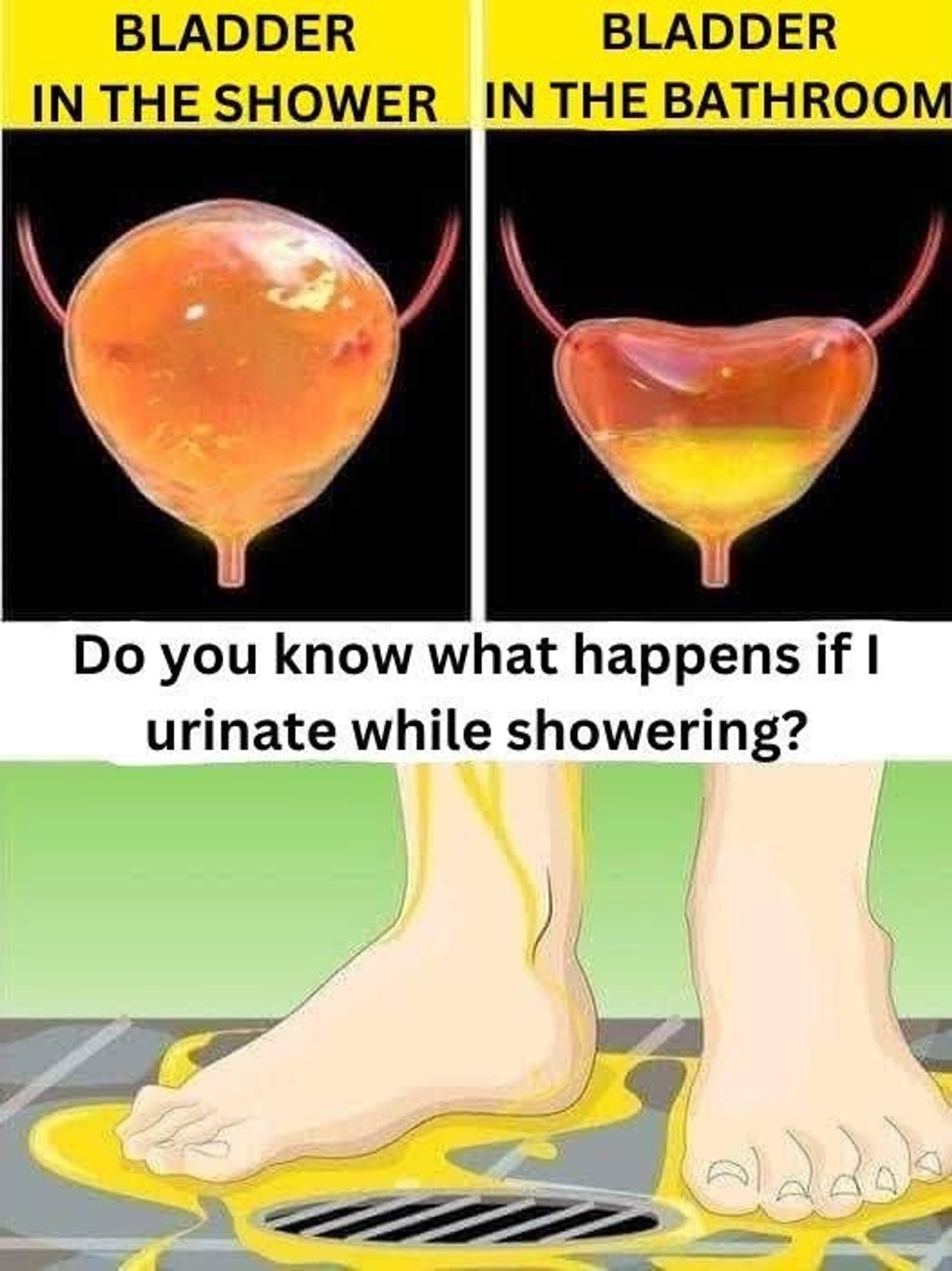 If you urinate in the shower, be careful, you should know that… See more in Comment!!!